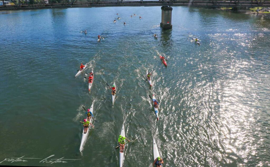 Surf Skis